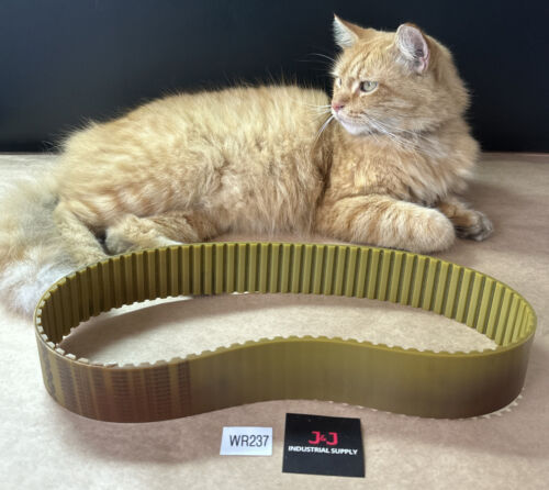 NEW- JASON AT10/890 Timing Belt 890mm Length AT10mm Pitch 2” Width 89 Teeth Main Image