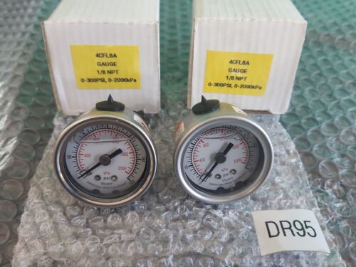 ποΈ *LOT OF 2* Grainger 1/8" NPT 4CFL8A, 0-300 psi, Glycerin Filled ||πΊπΈ SHIP Main Image