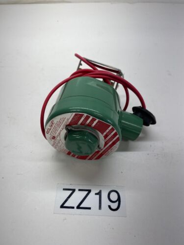 New No Box Asco Solenoid Valve Oil/water 8262B203T 110/120v 1/4” Pipe Warranty Main Image