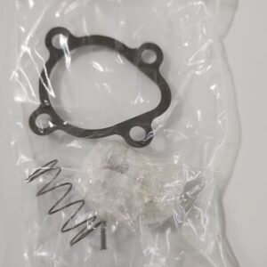 *BRAND NEW* Dayton 2DAB7 Valve Rebuild Kit 2A199 Series Valves + Warranty! - Image 2