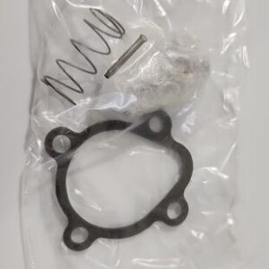 *BRAND NEW* Dayton 2DAB7 Valve Rebuild Kit 2A199 Series Valves + Warranty! - Image 3