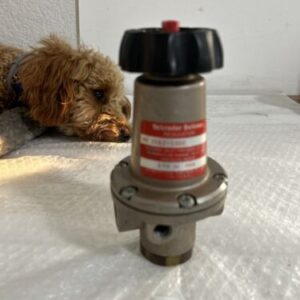 SCHRADER REGULATOR 3662-1000 FILTER 3562-1000 5 To 50 PSIG FAST SHIPPING!! - Image 1
