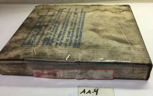 NEW!!! BROWNING CHAIN 60CP 10 FT. WARRANTY FAST SHIPPING! Main Image