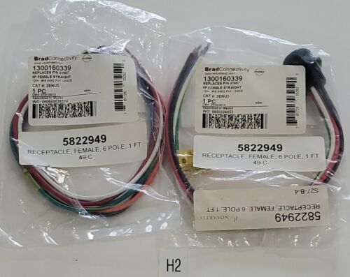 *NEW* LOT OF 2 Brad Harrison Woodhead 1300160339 Replaces 41607 6P 12" #16 Awg Main Image