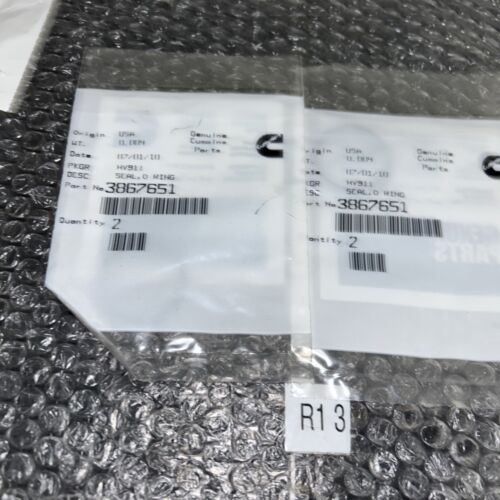 Cummins 3867651 Seal Ring Washer (Lot Of 2) Fast Shipping! + Warranty Main Image