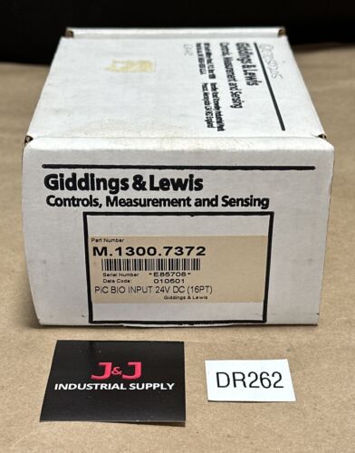 PREOWNED- Giddings & Lewis M.1300.7372 R1 Input Module 24VDC (16Pt) SINK/SOURCE Main Image