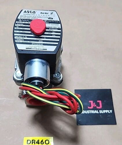 *NEW* Asco EF8125G030 Solenoid Valve 3/4" Pipe 110/120V 50/60Hz 10.1W + Warranty Main Image