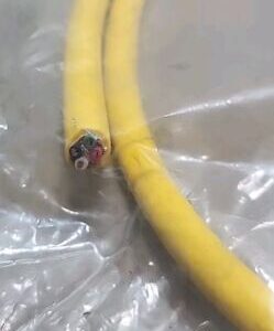 *FACTORY SEALED* Telemecanique 10-1000-4 Cordset Cable Connector + Warranty! - Image 4