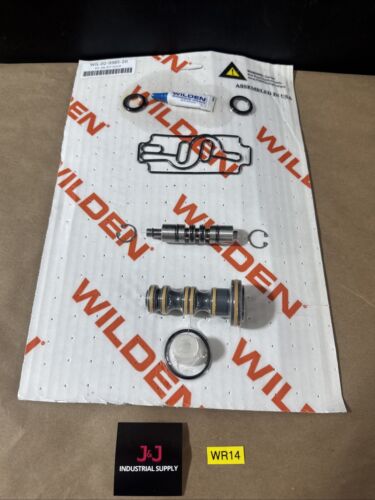 New Wilden 02-9985-20 Kit AIR P/1"/C/C/P Fast Shipping Warranty🇺🇸 Main Image